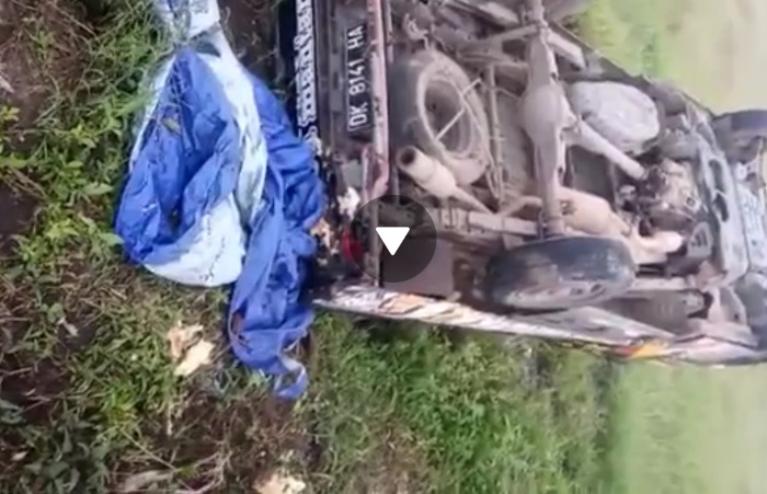 Mobil Pick Up Angkut Belasan Buruh Tani di Jember Terperosok Masuk Sawah