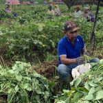 Petani di Jember Pertanyakan Pengadaan Barang atau Jasa di Dinas Pertanian, Diduga Sarat Praktik Korupsi