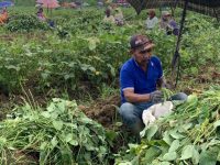 Petani di Jember Pertanyakan Pengadaan Barang atau Jasa di Dinas Pertanian, Diduga Sarat Praktik Korupsi