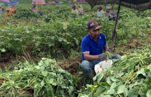 Petani di Jember Pertanyakan Pengadaan Barang atau Jasa di Dinas Pertanian, Diduga Sarat Praktik Korupsi