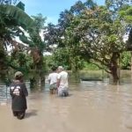 Sebanyak 600 KK di Jember Terdampak Banjir, Ketinggian Air Capai 50-100 cm