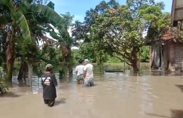 Sebanyak 600 KK di Jember Terdampak Banjir, Ketinggian Air Capai 50-100 cm