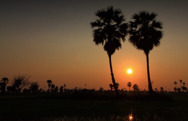 Zikir Daun Siwalan