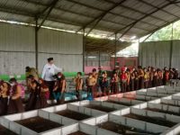 Ajarkan Cinta Lingkungan Sejak Dini, TPA Pakusari Sering Jadi Kunjungan Pelajar se Jember