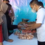 Akibat Cuaca Ekstrem, Harga Cabai Mulai Merangkak Naik di Jember