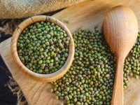 Kandungan Manfaat Kacang Hijau