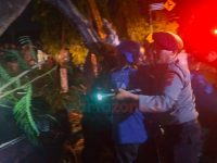 Pohon Tumbang Timpa Mobil dan Motor di Jember, Satu Orang Meninggal dan 4 Lainnya Dilarikan ke Rumah Sakit