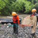 Proses Pencarian 4 Jenazah Hanyut Terbawa Arus di Jember, Ditemukan Dua Kain Kafan Bekas di Aliran Sungai Kali Jompo