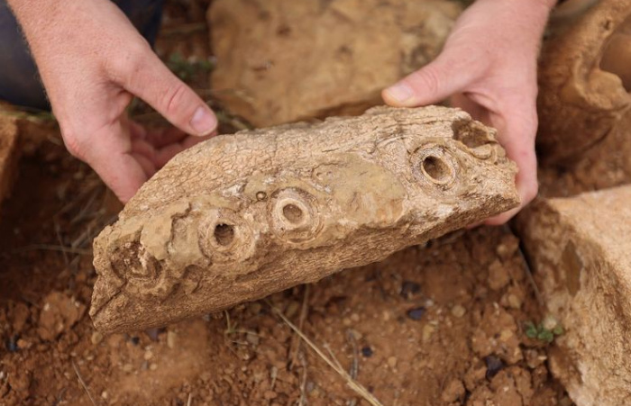 Tim Ahli Paleontologi Kembali Temukan Fosil Purba dari Zaman Cretaceous