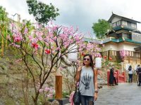 Wisata Menarik di Jawa Timur, Salah Satunya Ada Kampung Jepang