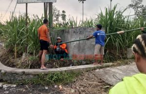 Cegah Bahaya, PPNI Lumajang Pasang Lampu Jalan di Jalur Darurat Lahar Semeru