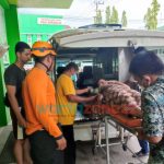 Diduga Depresi, Perempuan Muda di Jember Nekat Lompat dari Atas Jembatan