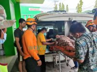 Diduga Depresi, Perempuan Muda di Jember Nekat Lompat dari Atas Jembatan