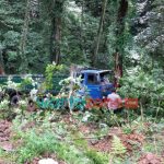 Dump Truk Laka Tunggal, Terperosok di Jalur Gumitir