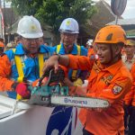 Pemaprasan Pohon di Jember, Aliran Listrik Padam 1-3 Jam