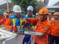Pemaprasan Pohon di Jember, Aliran Listrik Padam 1-3 Jam