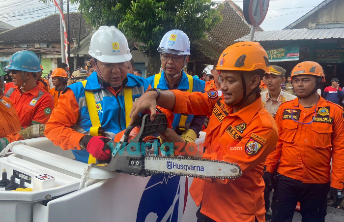 Pemaprasan Pohon di Jember, Aliran Listrik Padam 1-3 Jam