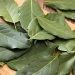 Selain Jadi Bumbu Masakan, Daun Salam Juga Bisa Atasi Malasah Kesehatan