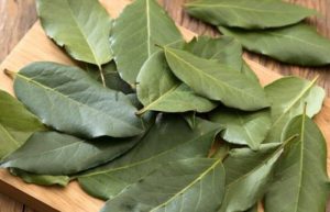 Selain Jadi Bumbu Masakan, Daun Salam Juga Bisa Atasi Malasah Kesehatan