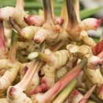 Ternyata Ramuan Lengkuas Bisa Meningkatkan Nafsu Makan