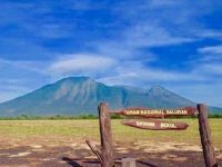 Dijuluki Africa Van Java, Yuk Intip Keindahan Taman Nasional Baluran di Jawa Timur