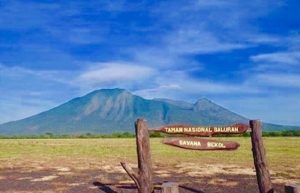 Dijuluki Africa Van Java, Yuk Intip Keindahan Taman Nasional Baluran di Jawa Timur