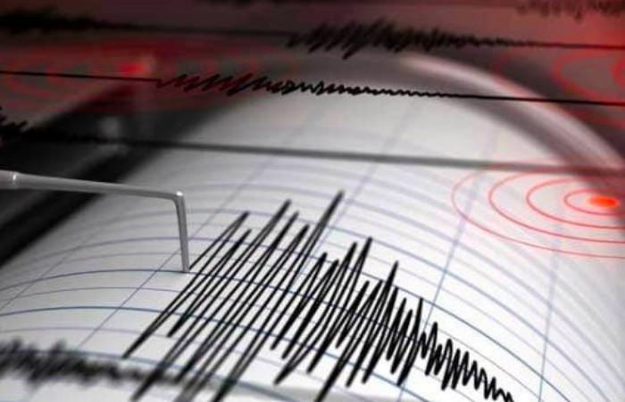 Gempa 4,0 Guncang Wilayah Laut Selatan Jember