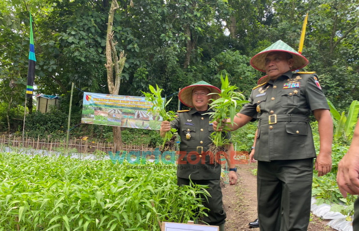 Program Ketahanan Pangan, TNI Manfaatkan Lahan Tidur Untuk Ditanami Sayur Mayur