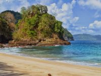 Teluk Hijau, Wisata Alam yang Ditumbuhi Bunga Langka Reflesia