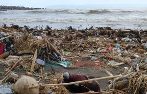 Tumpukan Sampah Seluas Lapangan Bola Penuhi Pantai Selatan Jember