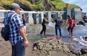 Hendak Dikirim ke Singapura, 20 Ribu Baby Lobster di Jember Berasal dari Banyuwangi dan Situbondo