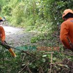 Tebing Longsor di Jember, Sekitar Lima Ribu KK Terisolir