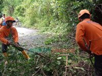 Tebing Longsor di Jember, Sekitar Lima Ribu KK Terisolir