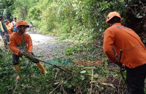 Tebing Longsor di Jember, Sekitar Lima Ribu KK Terisolir