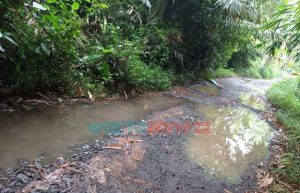 Jalan Rusak Kurang Lebih 8 Tahun, Kades Ngaku Sudah Ajukan Permohonan Perbaikan ke Pemkab Jember