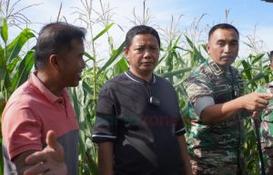 Dinilai Berdampak Maksimal, Anggota DPRD Sumenep Apresiasi Pola Ternak Sapi dengan Pakan Silase Jagung