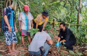 Mayat Bayi Membusuk Ditemukan di Rerimbunan Bambu Dekat Kebun Salak di Jember