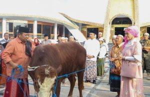 Sambut Idul Adha 1444 H, Bupati Jember Serahkan Lima Ekor Sapi Kepada Panitia Kurban