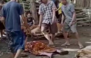 Viral, Ketua RT di Jember Tiba-tiba Meninggal Saat Lihat Hewan Kurban Disembelih