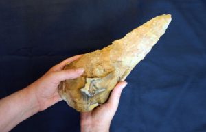 Kapak Tangan Manusia dengan Usia Ratusan Ribu Tahun Ditemukan di Inggris, Arkeolog Ungkapkan Hal Ini