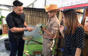 Ada Kebun Binatang Mini di Lantai 11 Bangunan Hotel di Jember