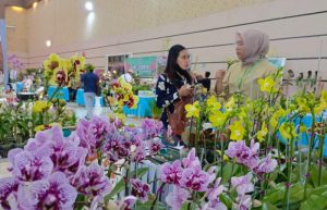 Festival Anggrek di Jember, Pesertanya Diikuti dari Jatim hingga Bali