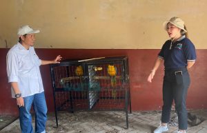 Sejumlah Satwa dari Taman Safari Siap Ramaikan Gelaran JFC 2023