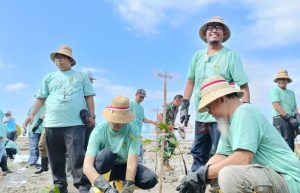 Tanam Ratusan Mangrove di Pantai Matahari Lobuk, Bupati Sumenep Ajak Masyarakat Jaga Lingkungan