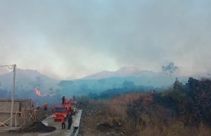 Lahan Perhutani Bondowoso Terbakar, Api Bersumber dari Lahan Milik PTPN