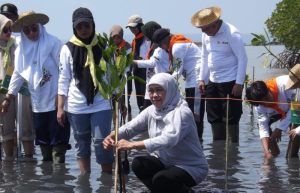 Festival Magrove di Sumenep, Gubernur Jatim: cara kami mengajak masyarakat sedekah oksigen