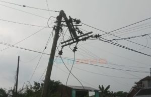 Dua Tiang Listrik Patah Akibat Hujan Deras Disertai Angin Kencang di Jember, 3244 Pelanggan PLN Alami Pemadaman