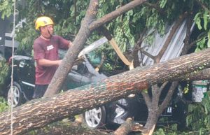 Dampak Hujan Disertai Angin Kencang di Jember, Timpa 5 Mobil dan Motor hingga Rumah Warga