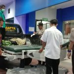 Foto: Korban dievakuasi ke RSD Balung usai tertimpa pohon saat melintas di jalur utama Balung-Rambipuji Jember.