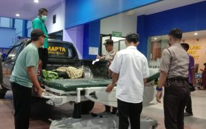 Pengendara Motor di Jember Tewas Tertimpa Pohon